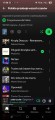 Screenshot_20260225_175829_Spotify.jpg